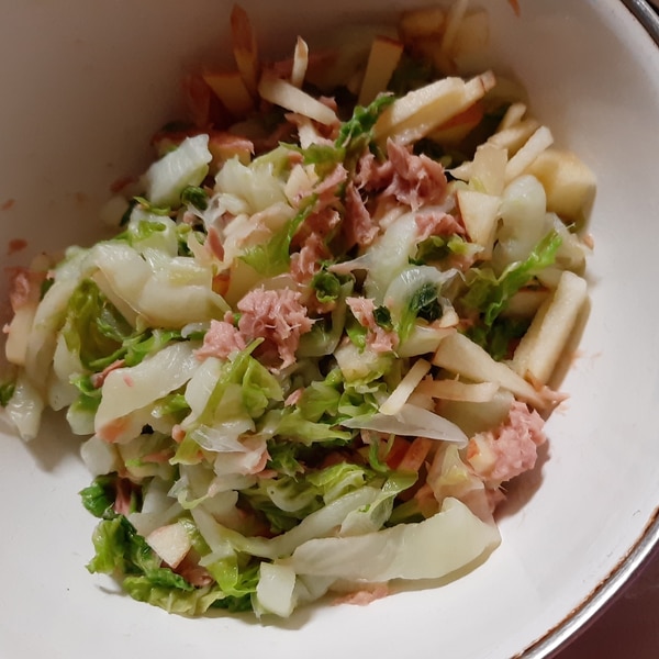 ツナとリンゴ 白菜サラダ レシピ 作り方 By Linママ 楽天レシピ ツナとリンゴ 白菜サラダ レシピ 作り方 By Linママ 楽天レシピ