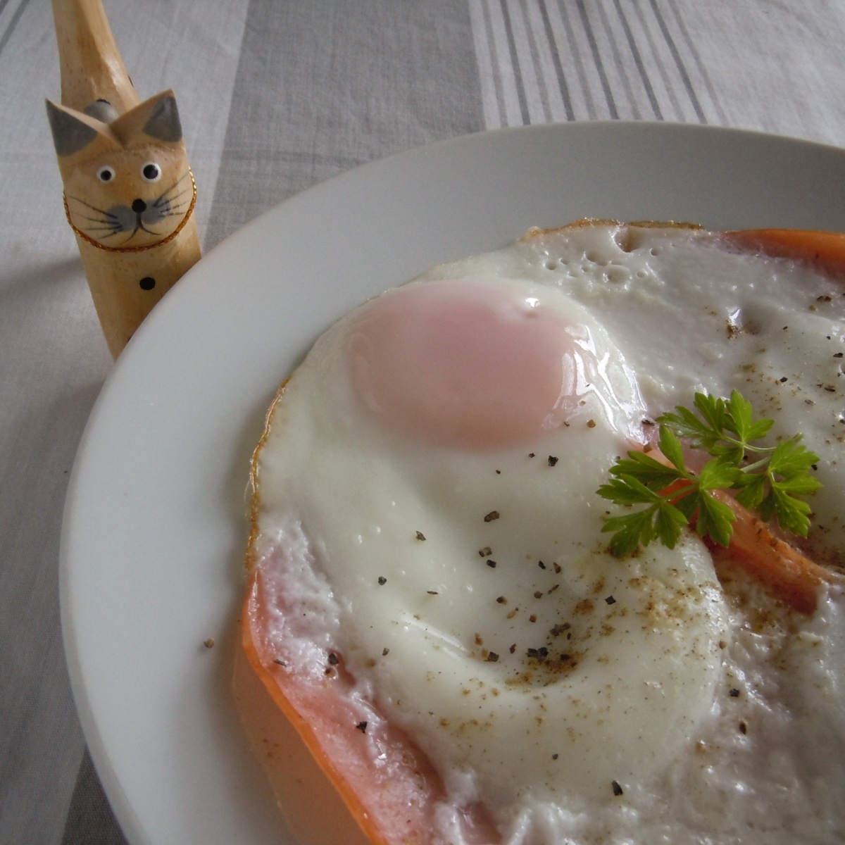 塩麹でほんのり美味しく作る目玉焼き！?