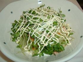 豆腐とシーチキンのサラダ