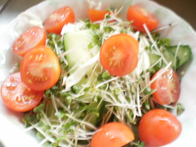 きゅうりとキャベツトマトの生野菜サラダ