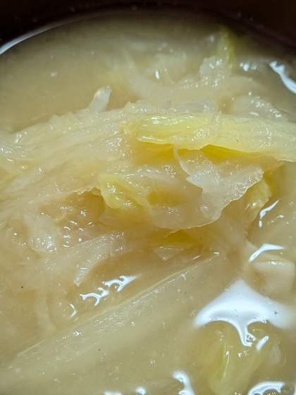 大根と白菜と玉ねぎの味噌汁