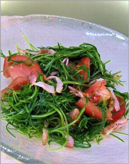 おかひじきとトマト ベーコンの3色サラダ レシピ 作り方 By はなまる子 楽天レシピ おかひじきとトマト ベーコンの3色サラダ レシピ 作り方 By はなまる子 楽天レシピ