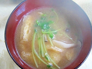 豆苗としめじの味噌汁
