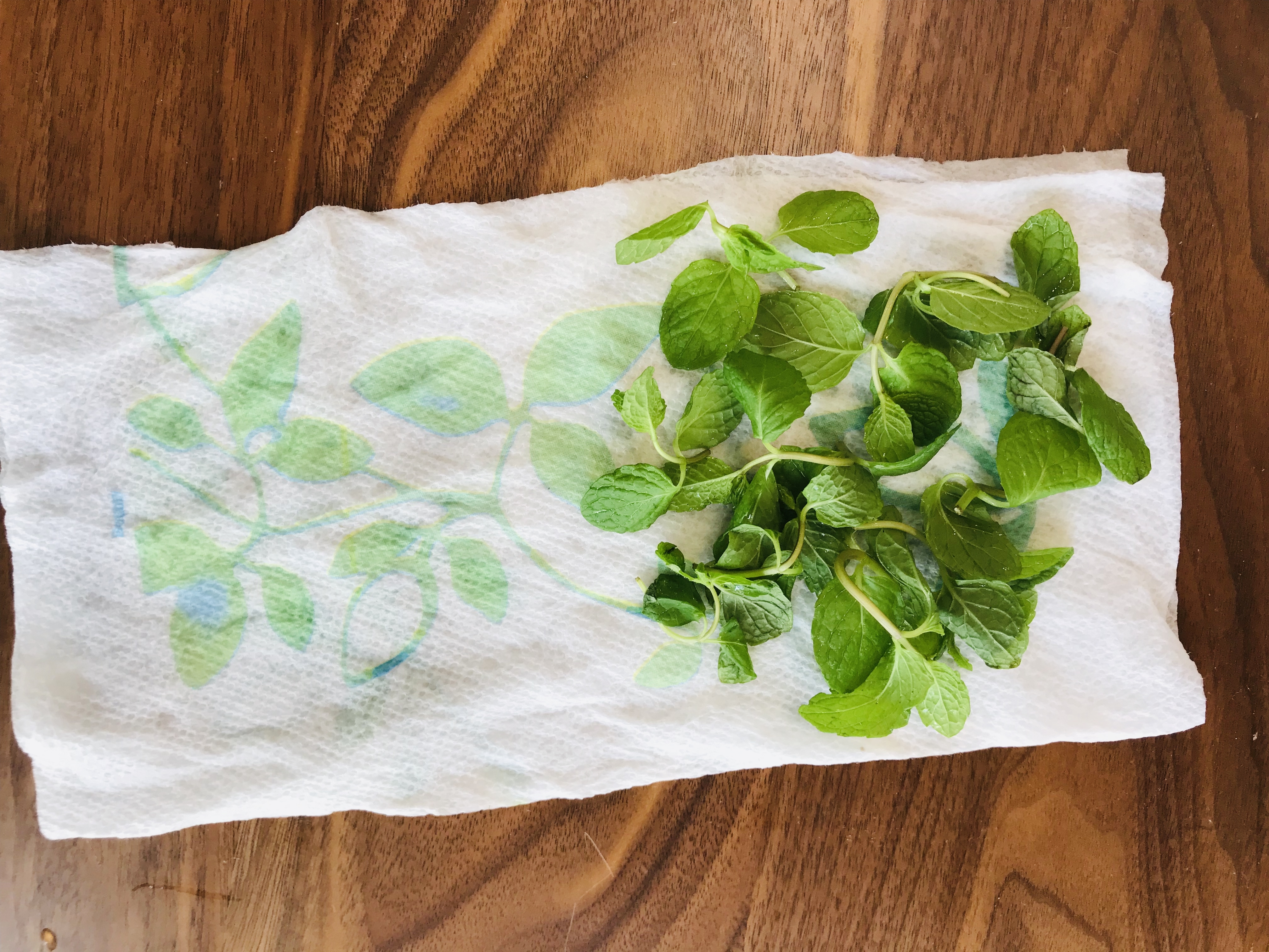 ミントの葉の冷蔵保存方法 レシピ 作り方 By ぼくバナナ 楽天レシピ ミントの葉の冷蔵保存方法 レシピ 作り方 By ぼくバナナ 楽天レシピ