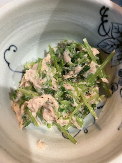 豆苗とツナのマヨネーズサラダ☆