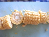 ぶった切り フレッシュコーンの天ぷら レシピ 作り方 By 薄荷パン 楽天レシピ ぶった切り フレッシュコーンの天ぷら レシピ 作り方 By 薄荷パン 楽天レシピ