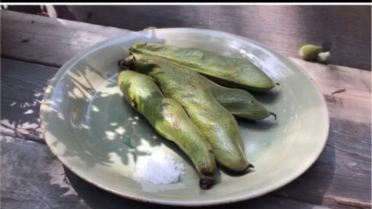 焼くだけ！丸ごとそら豆のグリル焼き