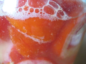 トマト酵母