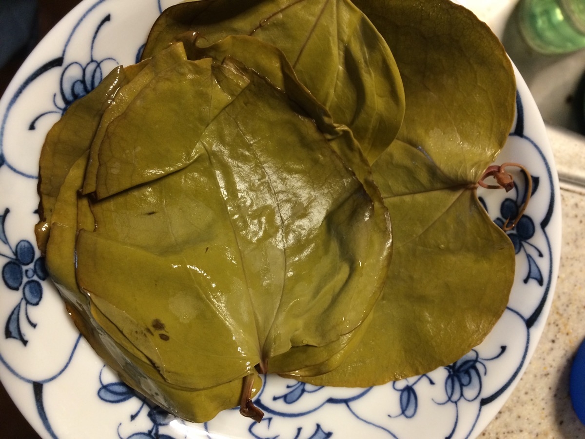 続一人暮らしのこの時期しかできない柏餅の葉の塩漬け レシピ 作り方 By ピヨ採る 大抵 楽天レシピ 続一人暮らしのこの時期しかできない柏餅の葉の塩漬け レシピ 作り方 By ピヨ採る 大抵 楽天レシピ