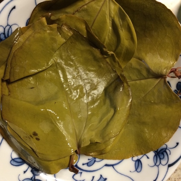 続一人暮らしのこの時期しかできない柏餅の葉の塩漬け レシピ 作り方 By ピヨ採る 大抵 楽天レシピ 続一人暮らしのこの時期しかできない柏餅の葉の塩漬け レシピ 作り方 By ピヨ採る 大抵 楽天レシピ