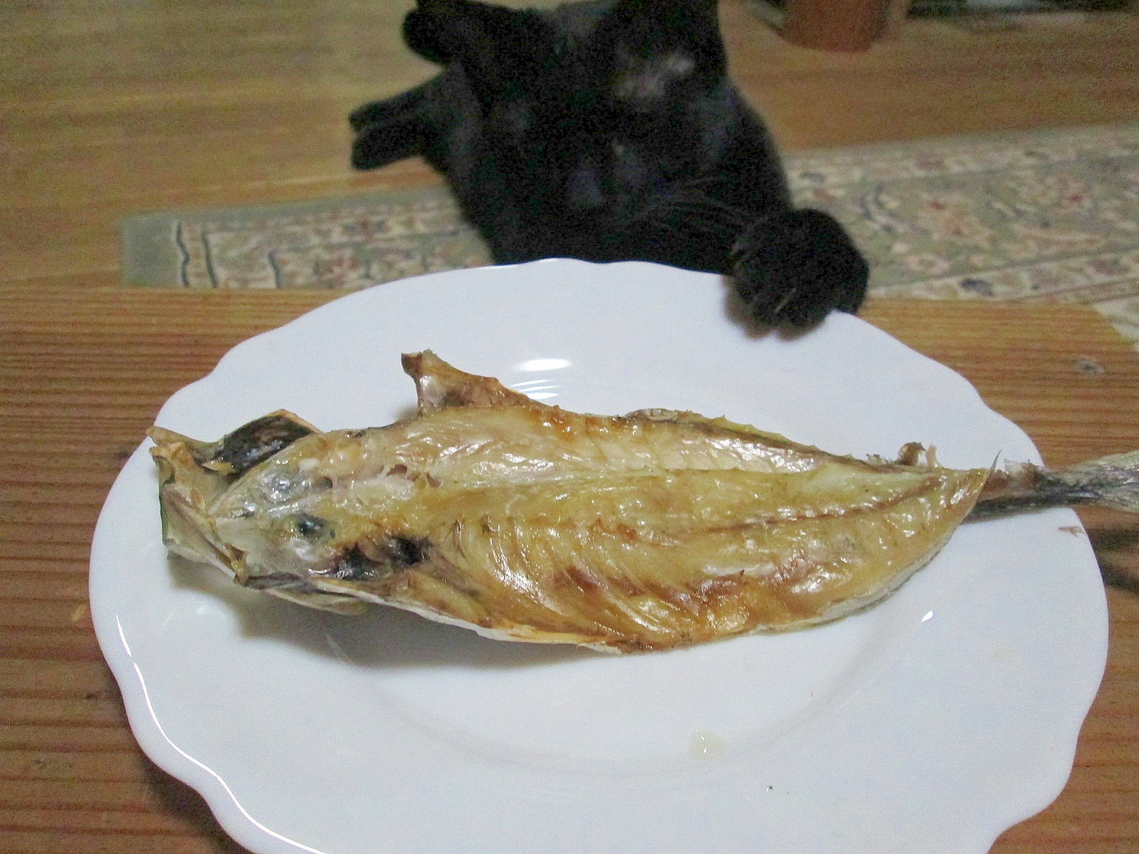 自宅で作ろう アジの干物 レシピ 作り方 By カゲジジ 楽天レシピ