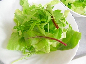 アイスプラントのグリーンサラダ