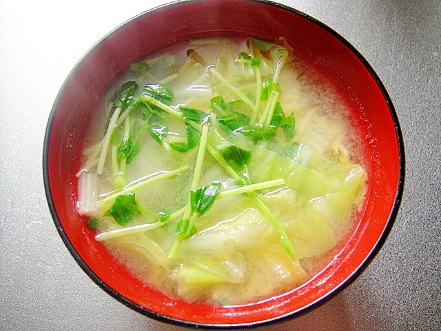 白菜と豆苗の味噌汁