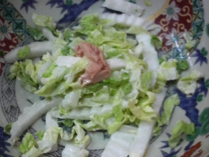 こんにちは＾＾家に有る食材で作れるレシピを探して、昼食の１品として、食べさせて頂きました、簡単でとても美味しかったです、御馳走様でした＾－＾
