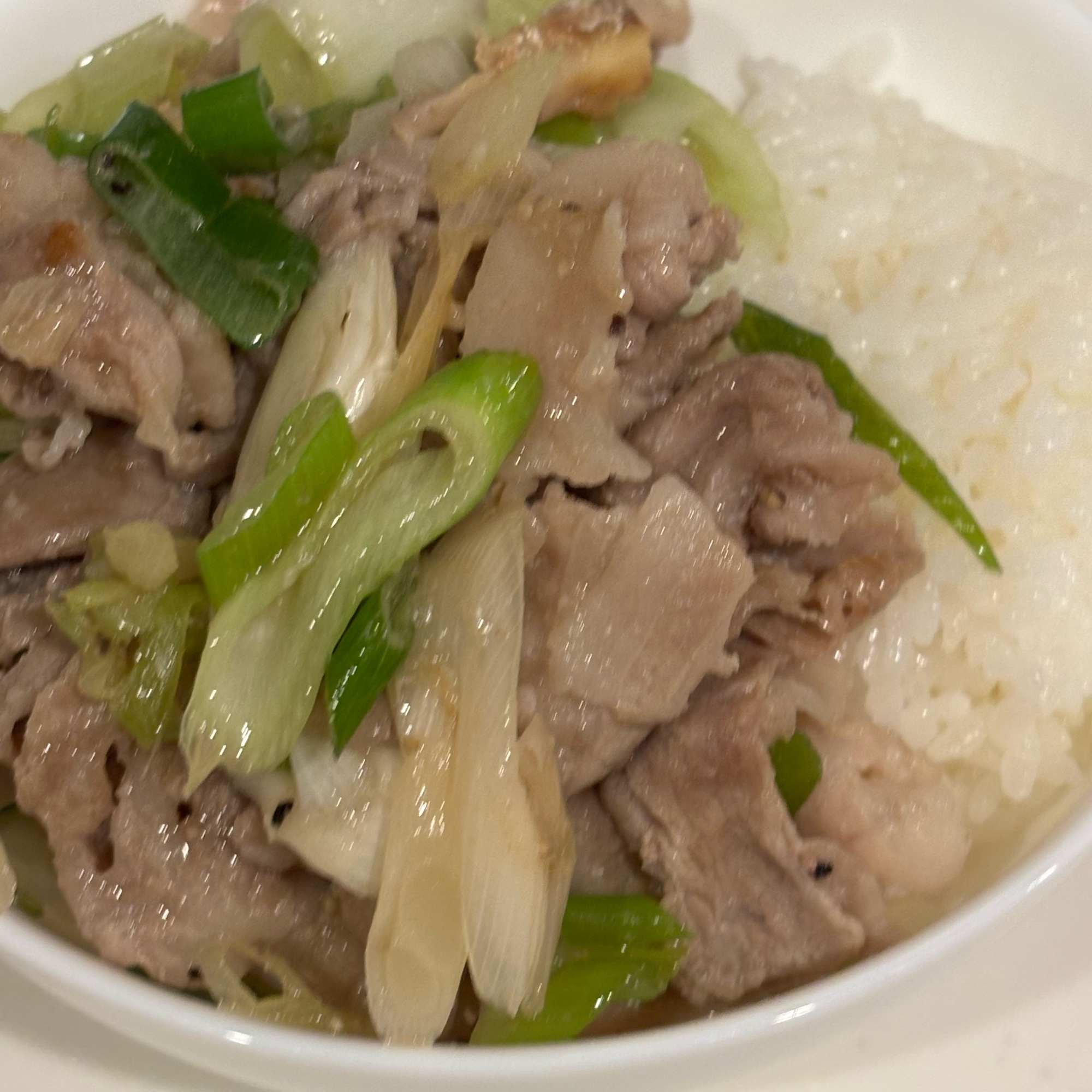 長ねぎたっぷり塩豚丼