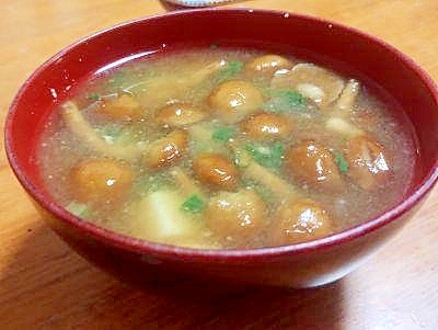 定番　なめこと豆腐の　みそ汁