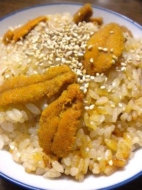 うちの簡単うにご飯