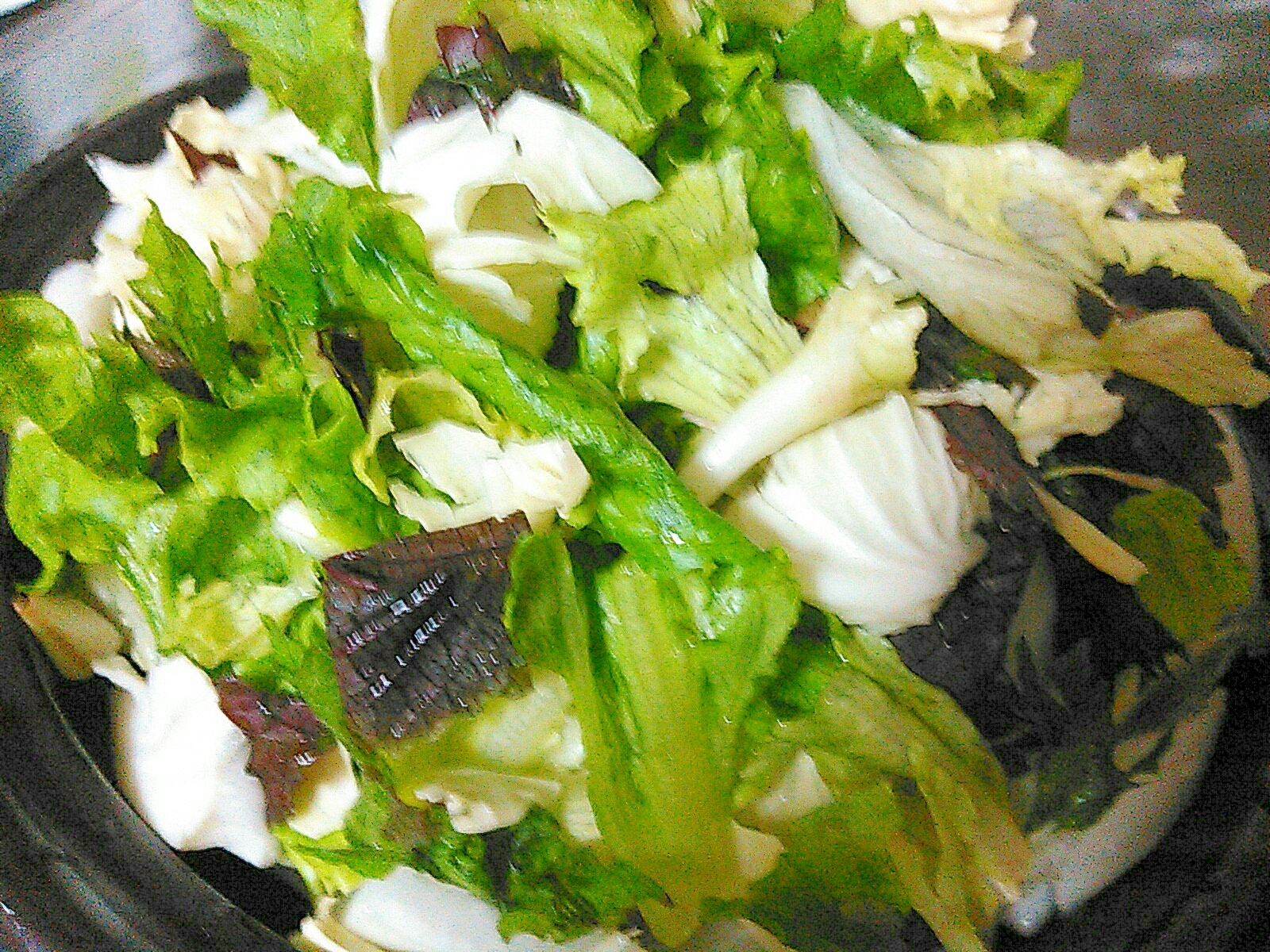 グリーンリーフ紫蘇キャベツのサラダ