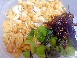 野沢菜とたまごと昆布の三色弁当