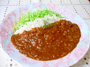 レッドレンティルのとろとろカレー