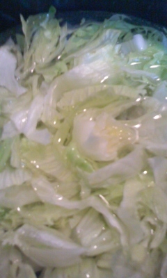 白菜とレタスのにんにくマヨサラダ
