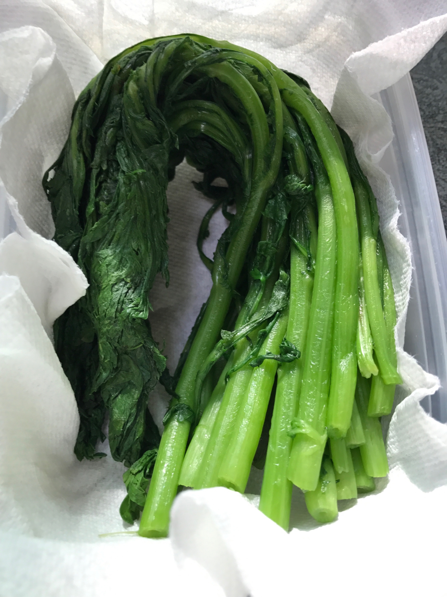 青菜の保存方法 レシピ・作り方 By You花凛｜楽天レシピ