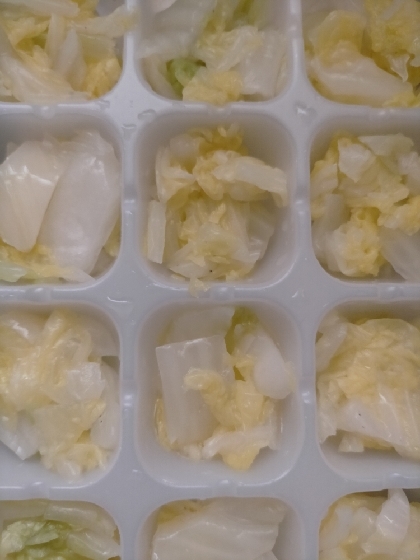 離乳食完了期 白菜 冷凍保存