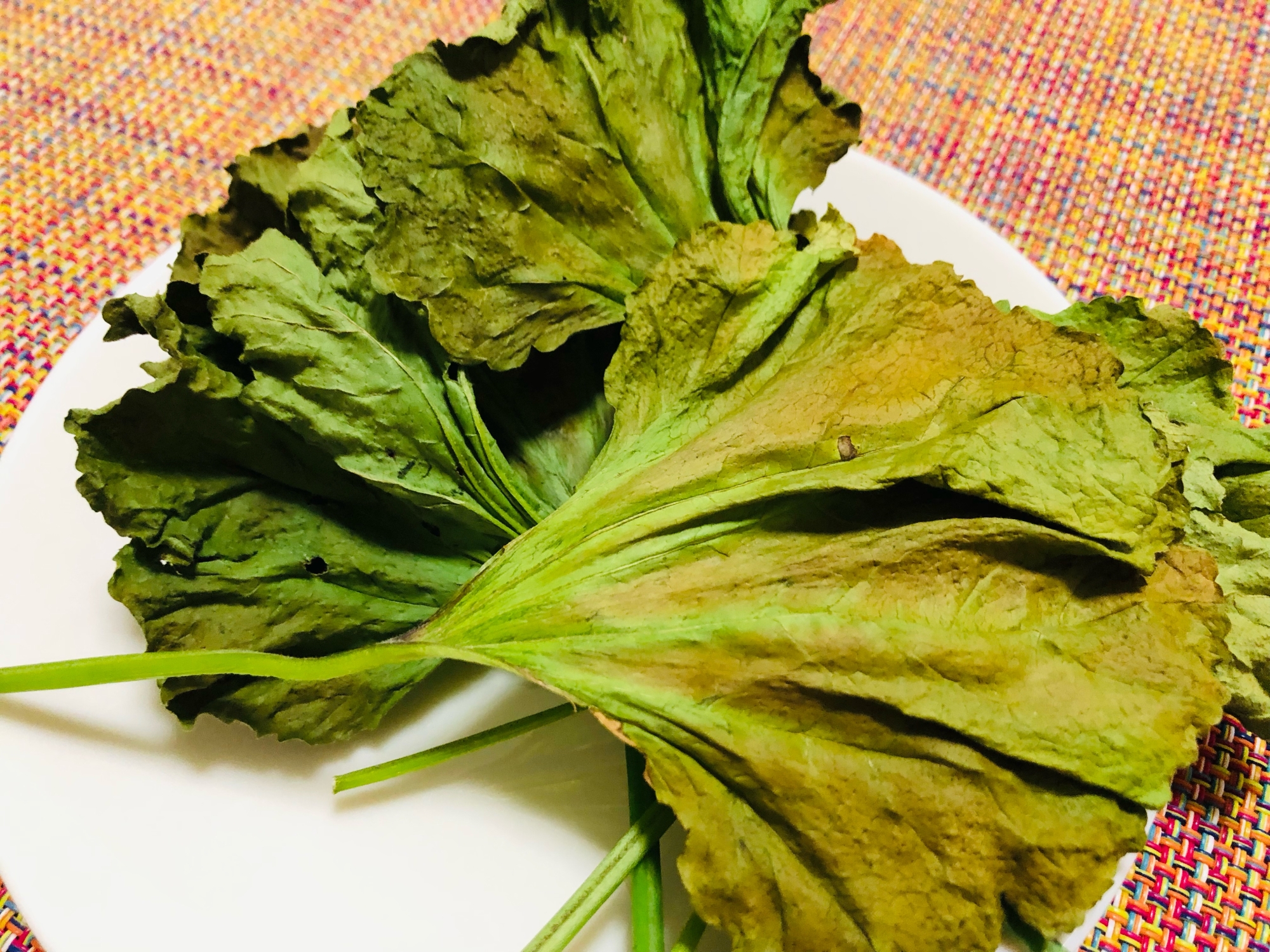 おかのりの保存や炙り方 トースター レシピ 作り方 By Ikemina 楽天レシピ おかのりの保存や炙り方 トースター レシピ 作り方 By Ikemina 楽天レシピ