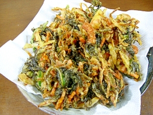 海そうめんレシピ 作り方の人気順 簡単料理の楽天レシピ 海そうめんレシピ 作り方の人気順 簡単料理の楽天レシピ