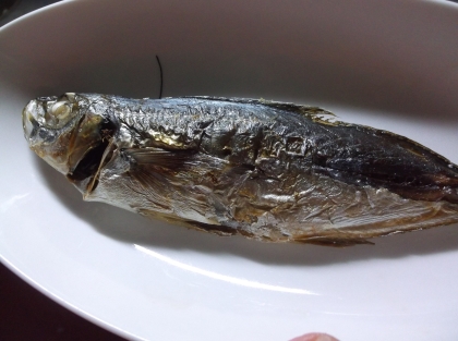 お酒でふっくら美味しい♪「アジの塩焼き」