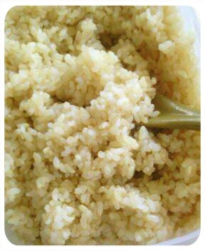 レンジで玄米をおいしく炊く