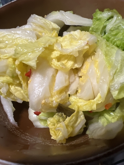 おばあちゃんの♡白菜漬物