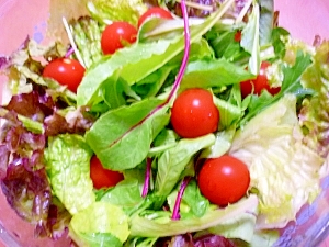 ベビーリーフ サニーレタス プチトマトのサラダ レシピ 作り方 By Megmako 楽天レシピ ベビーリーフ サニーレタス プチトマトのサラダ レシピ 作り方 By Megmako 楽天レシピ