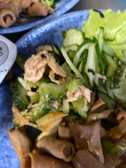 【つくおき】ゴーヤと塩昆布あえ