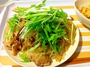 野菜たっぷり汁なしネギブタビーフン