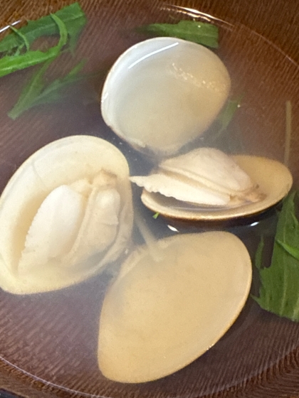 15分で砂抜き！当日間に合う！蛤のお吸い物（潮汁）
