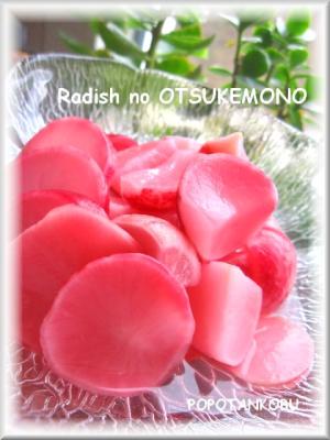 二十日大根の漬物レシピ 作り方の人気順 簡単料理の楽天レシピ