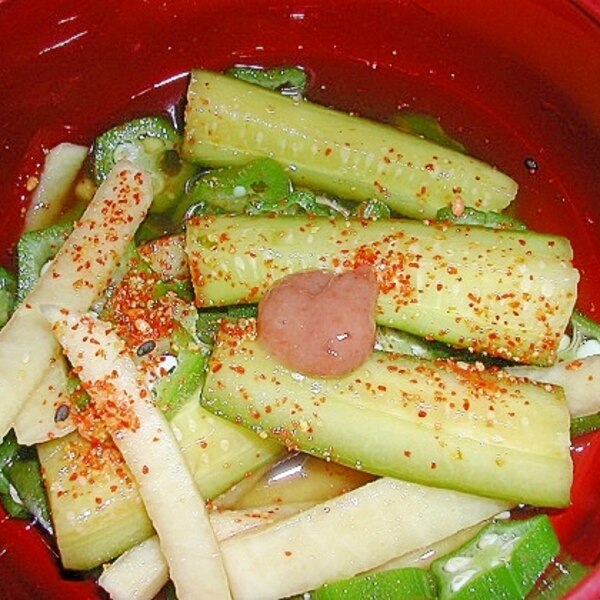 めんつゆで簡単 きゅうりと大根の和風ピクルス レシピ 作り方 By アンさんのママ 楽天レシピ めんつゆで簡単 きゅうりと大根の和風ピクルス レシピ 作り方 By アンさんのママ 楽天レシピ