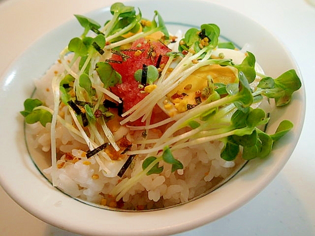 のりたま/つゆで　ゆで卵と明太子とかいわれのご飯