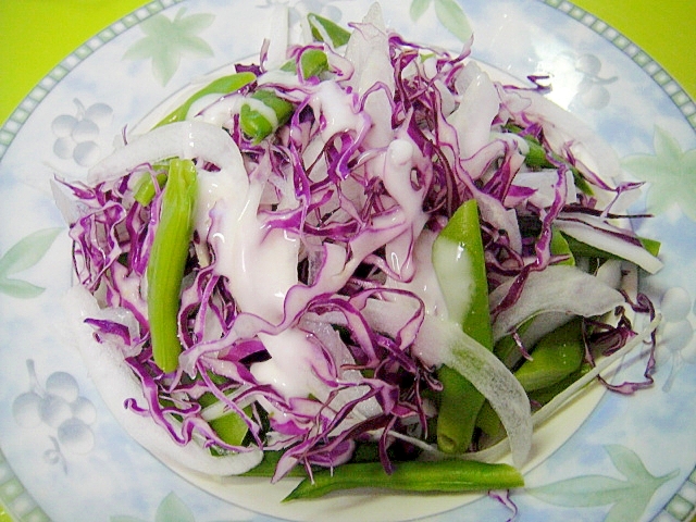 インゲンと玉ねぎ紫キャベツのサラダ