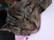 あのみな!!
