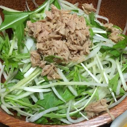 アボカドと水菜の丼