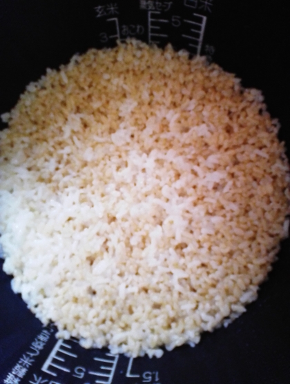普段は玄米だけで炊いていますが、白米をいれても美味しいですね！ごちそうさまでした。
