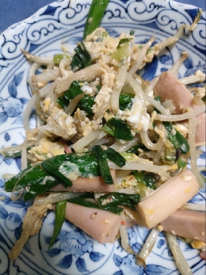 にらもやしと色々イタメターノ