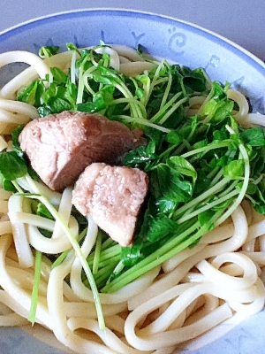 豆苗入り手抜きうどん