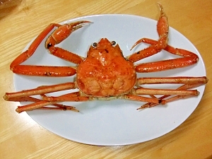 漁師直伝 家庭で茹でちゃう 松葉ガニ レシピ 作り方 By あずき 楽天レシピ 漁師直伝 家庭で茹でちゃう 松葉ガニ レシピ 作り方 By あずき 楽天レシピ