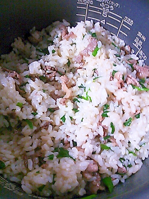 豚ニラ混ぜご飯