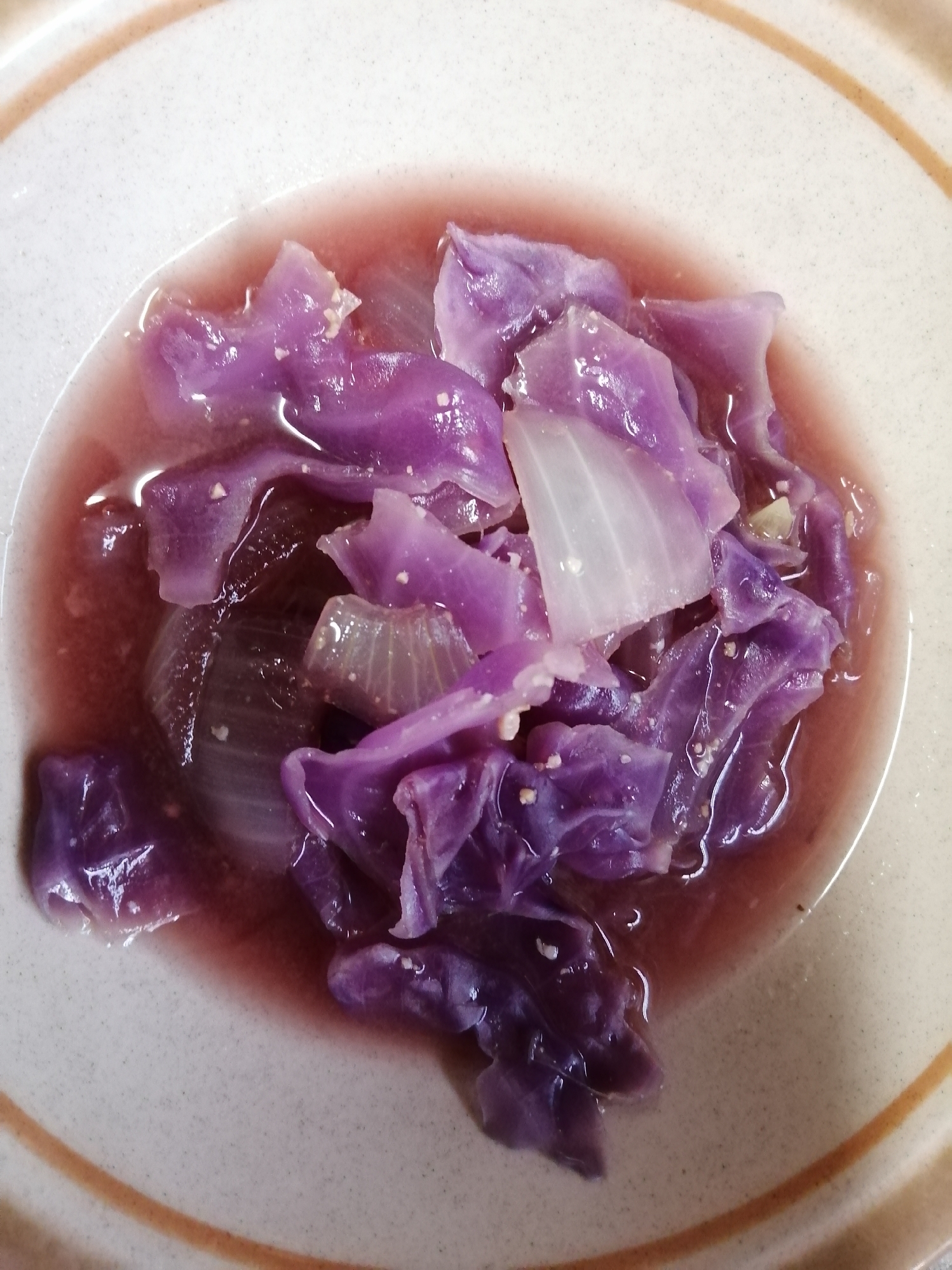 紫キャベツと玉ねぎの味噌汁
