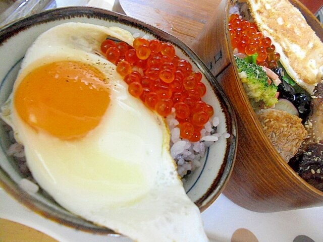 目玉焼き 04115c832ce6c06223930bf720aca1