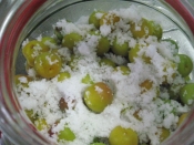 干さない梅漬けてみました レシピ 作り方 By 卯月 Uzuki 楽天レシピ 干さない梅漬けてみました レシピ 作り方 By 卯月 Uzuki 楽天レシピ